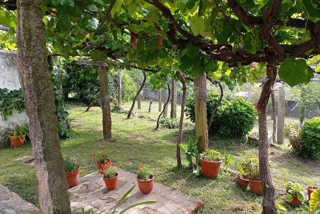 Holiday home A Barraca. Casa Con Jardin Y Vistas A La Ria Bueu
